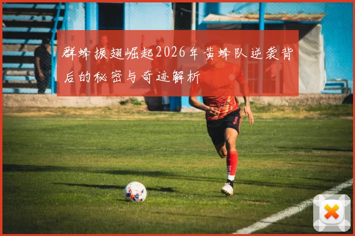 群蜂振翅崛起2026年黄蜂队逆袭背后的秘密与奇迹解析